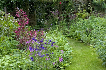 The Wattle Garden