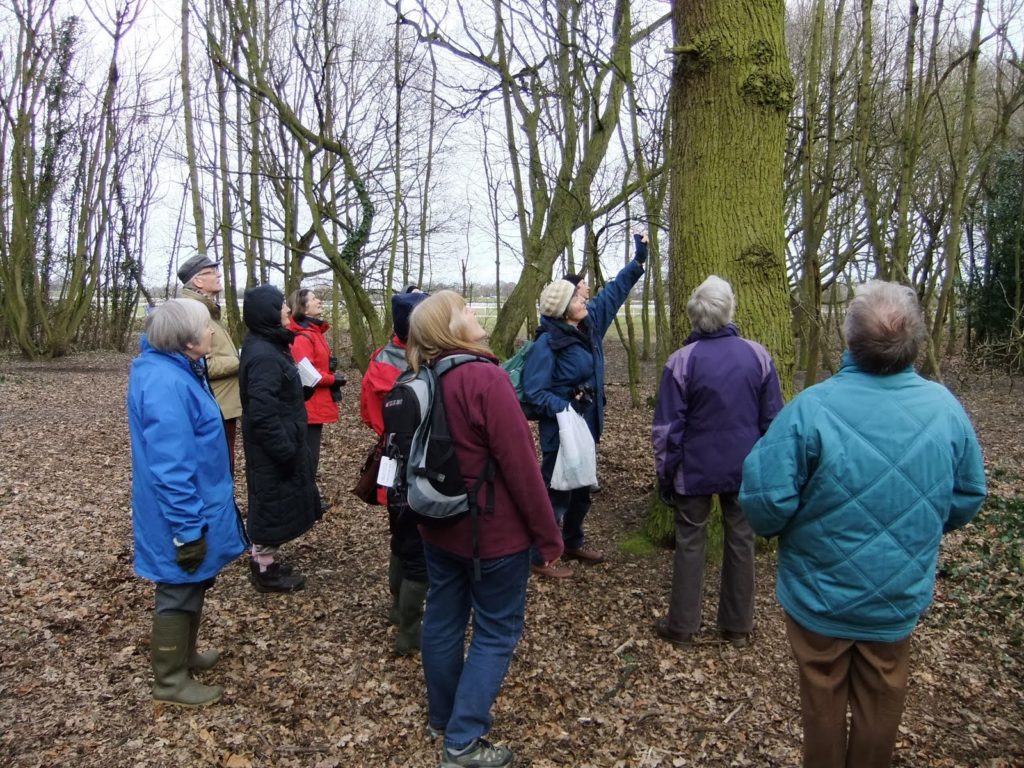 PLACE visit to Knavesmire wood