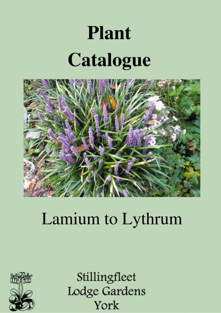 Lamium to Lythrum listing