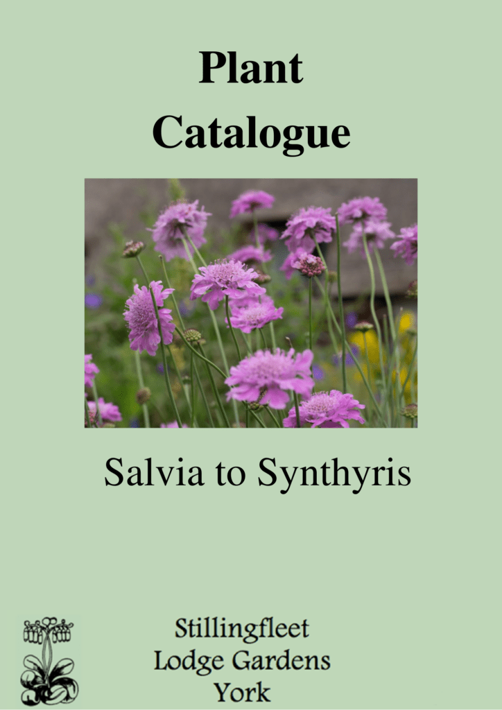 Salvia to Synthris listing