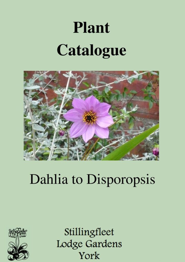 Copy of Plant catalogue template