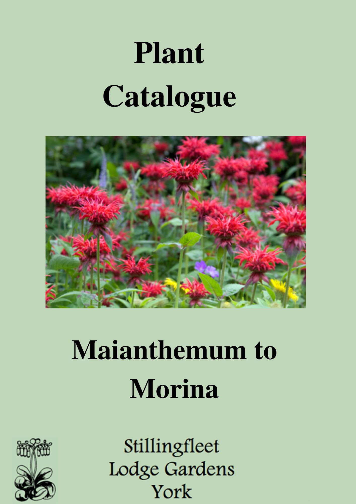 Plants M (1)