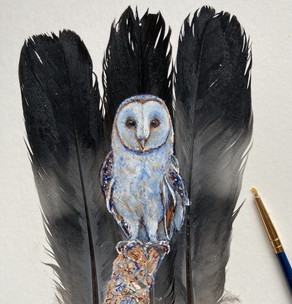 Barn owl painted on feathers