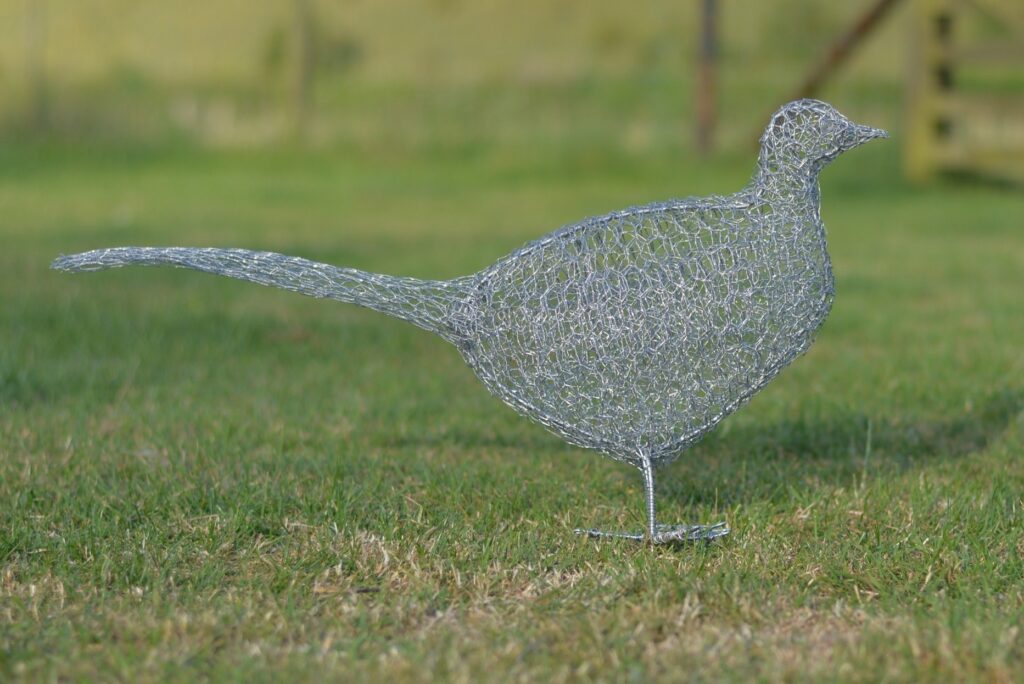 wire pheasant