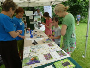 Bumblebee conservation