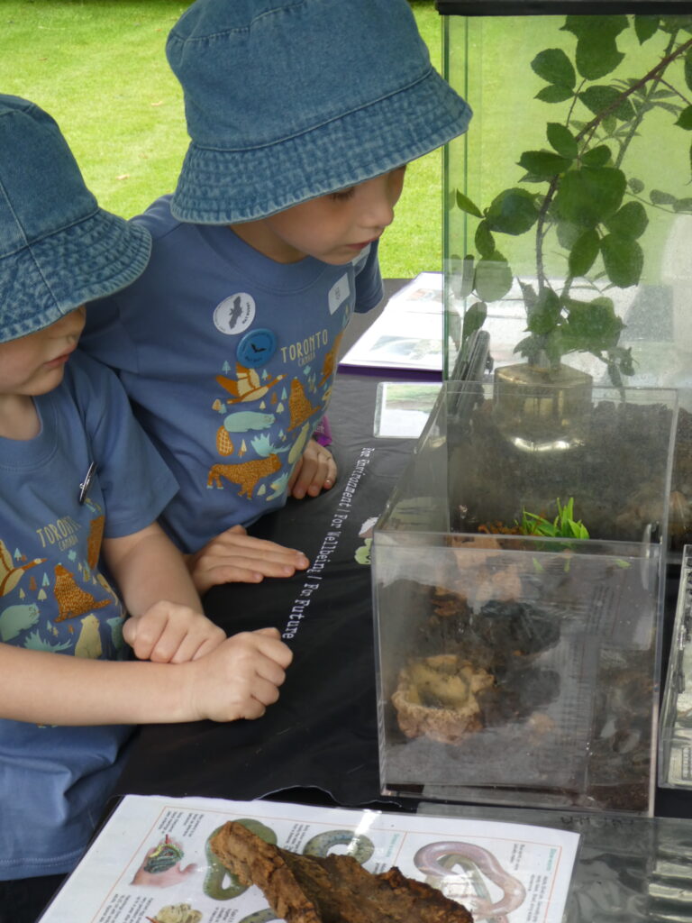 Children looking for creepy crawlies